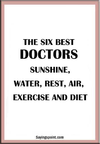 Doctor Quotes - The six best doctors: Sunshine, Water, Rest, Air, Exercise and diet.
