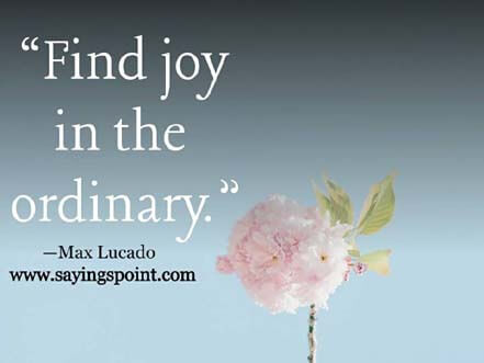 Joy Sayings