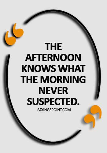 good afternoon quotes and images - The afternoon knows what the morning never suspected.