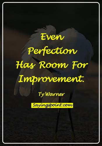 perfection and excellence quotes - Even perfection has room for improvement.- Ty Warner
