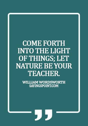 Nature Quotes - Come forth into the light of things; let Nature be your teacher. - William Wordsworth