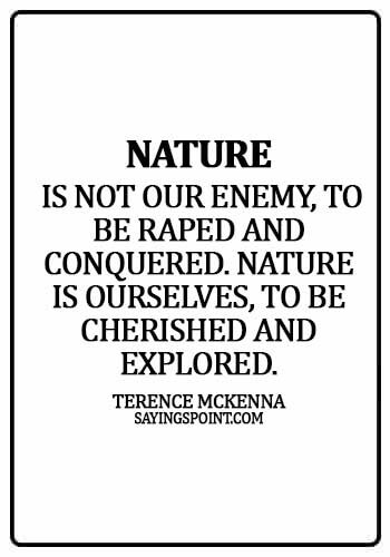 best nature quotes - Nature is not our enemy, to be raped and conquered. Nature is ourselves, to be cherished and explored. - Terence McKenna
