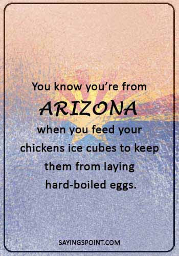 cactus quotes - “You know you’re from Arizona when you feed your chickens ice cubes to keep them from laying hard-boiled eggs.” —Local saying