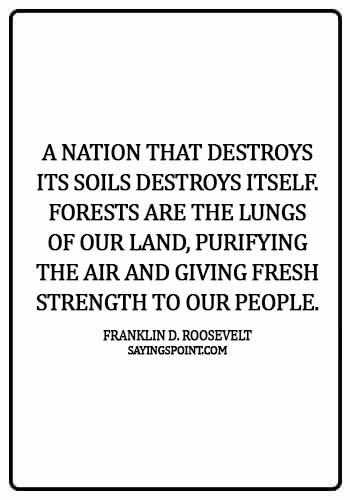 environment quotes for school - A nation that destroys its soils destroys itself. Forests are the lungs of our land, purifying the air and giving fresh strength to our people.