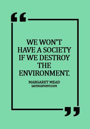 sayings about environment tagalog - We won't have a society if we destroy the environment.