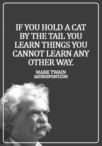Funny Cat Sayings - If you hold a cat by the tail you learn things you cannot learn any other way. - Mark Twain 