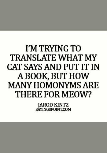 Funny Cat Quotes - I’m trying to translate what my cat says and put it in a book, but how many homonyms are there for meow? - Jarod Kintz