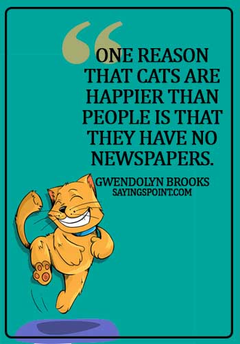 funny cat quotes and sayings - One reason that cats are happier than people is that they have no newspapers. - Gwendolyn Brooks