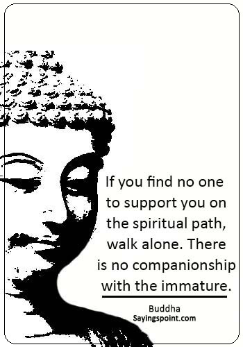 Immature Sayings - “If you find no one to support you on the spiritual path, walk alone. There is no companionship with the immature.” —Buddha
