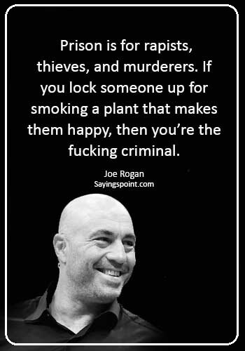 funny smoking weed quotes - “Prison is for rapists, thieves, and murderers. If you lock someone up for smoking a plant that makes them happy, then you’re the fucking criminal.” —Joe Rogan