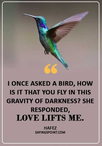 Birds Sayings -"I once asked a bird, how is it that you fly in this gravity of darkness? She responded, 'love lifts me.'" —Hafez