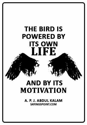 Birds Quotes - "The bird is powered by its own life and by its motivation." —A. P. J. Abdul Kalam