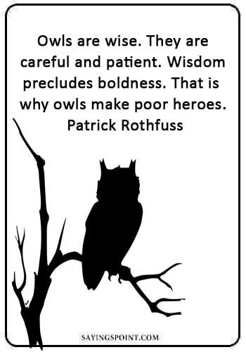 Owl Sayings - “Owls are wise. They are careful and patient. Wisdom precludes boldness. That is why owls make poor heroes.” —Patrick Rothfuss