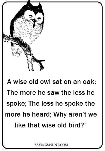 wise old owl sayings - “A wise old owl sat on an oak; The more he saw the less he spoke; The less he spoke the more he heard; Why aren’t we like that wise old bird?” 