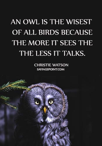 wise old owl sayings - “An owl is the wisest of all birds because the more it sees the the less it talks.” —Christie Watson