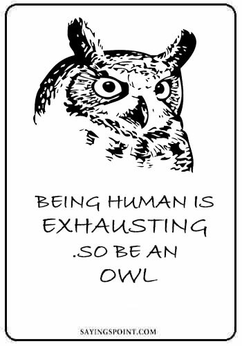 owl quotes - “Being human is exhausting .So be an owl.” 