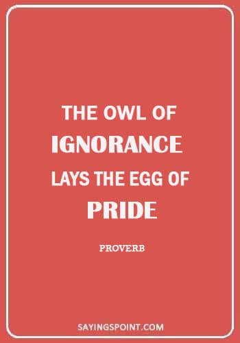Owl Sayings - “The owl of ignorance lays the egg of pride.” —Proverb