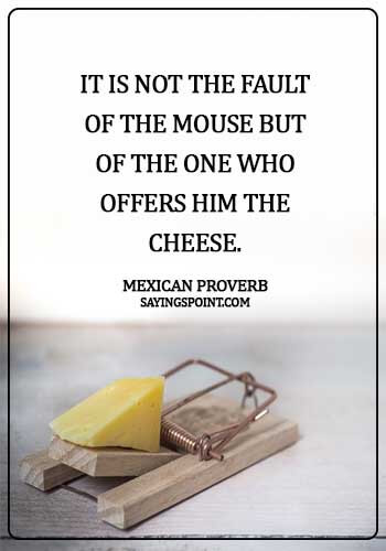 Cheese Sayings - It is not the fault of the mouse but of the one who offers him the cheese