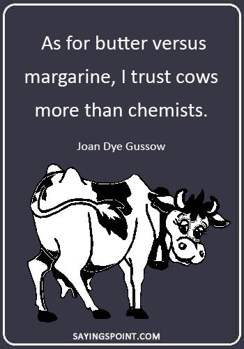 Cow Sayings -  “As for butter versus margarine, I trust cows more than chemists.” —Joan Dye Gussow