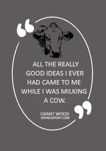 Cow Quotes -  “All the really good ideas I ever had came to me while I was milking a cow.” —Grant Wood