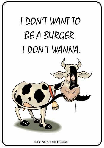 Cow Quotes - I don’t want to be a burger. I don’t wanna.
