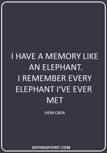 Elephant Sayings - “I have a memory like an elephant. I remember every elephant I’ve ever met.” —Herb Caen