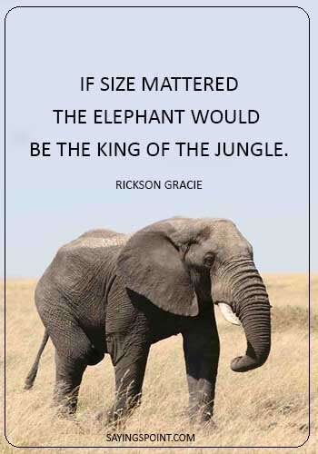 Elephant Sayings - “If size mattered, the elephant would be the king of the jungle.” —Rickson Gracie