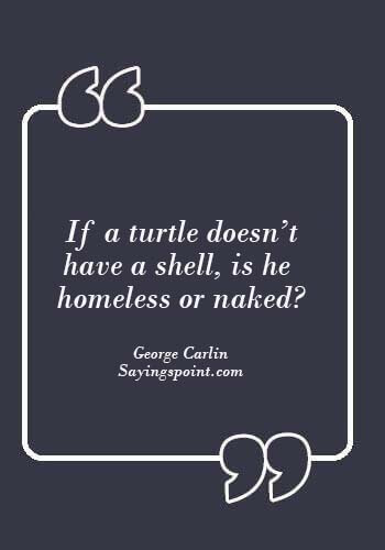funny turtle quotes - “If a turtle doesn’t have a shell, is he homeless or naked?” —George Carlin