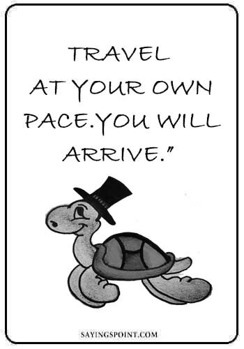 Turtle Quotes - Travel at your own pace. You will arrive.