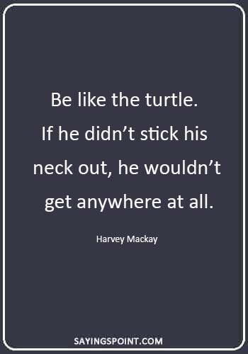 tortoise quotes - “Be like the turtle. If he didn’t stick his neck out, he wouldn’t get anywhere at all.” —Harvey Mackay