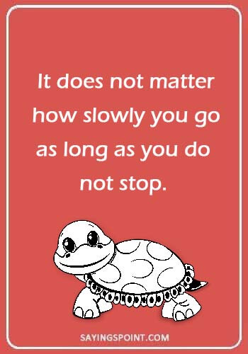 tortoise quotes - “It does not matter how slowly you go as long as you do not stop.”