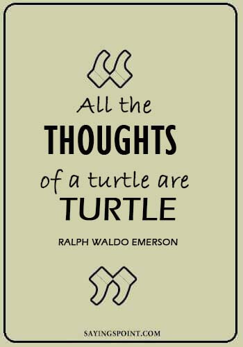 funny turtle quotes - “All the thoughts of a turtle are turtle.” —Ralph Waldo Emerson