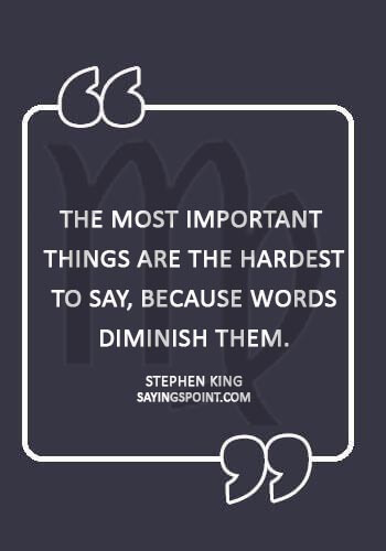 virgo birthday quotes - “The most important things are the hardest to say, because words diminish them.” —Stephen King