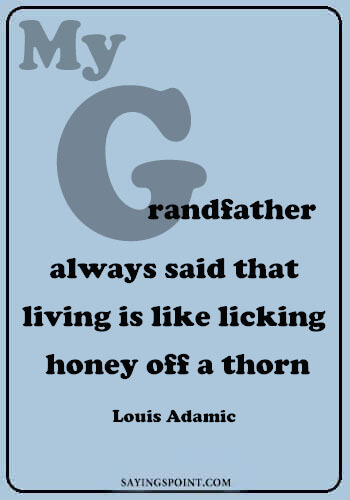 Grandfather Quotes From Grandchildren - "My grandfather always said that living is like licking honey off a thorn." —Louis Adamic