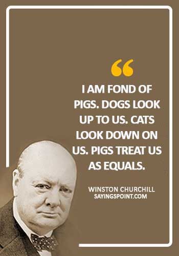 Funny Pig Quotes - "I am fond of pigs. Dogs look up to us. Cats look down on us. Pigs treat us as equals." —Winston S. Churchill