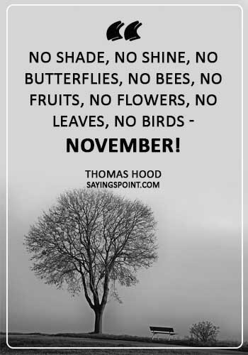 November Sayings - "No shade, no shine, no butterflies, no bees, No fruits, no flowers, no leaves, no birds - November!" —Thomas Hood