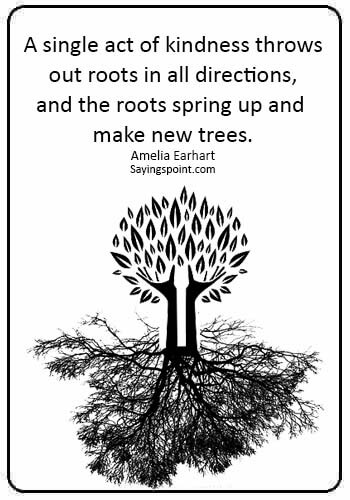 quote about generosity - “A single act of kindness throws out roots in all directions, and the roots spring up and make new trees.” —Amelia Earhart