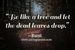 Rumi Sayings