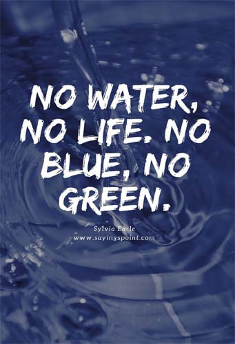 save water sayings