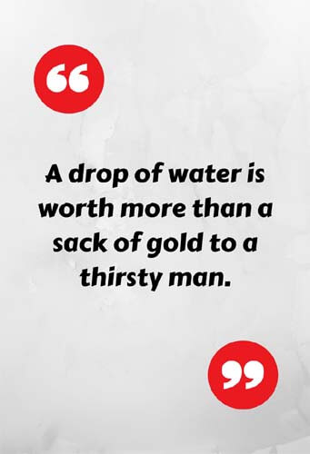 Save Water Sayings