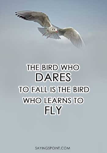“The bird who dares to fall is the bird who learns to fly.