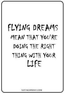 Pilot Quotes -“Flying dreams mean that you're doing the right thing with your life.