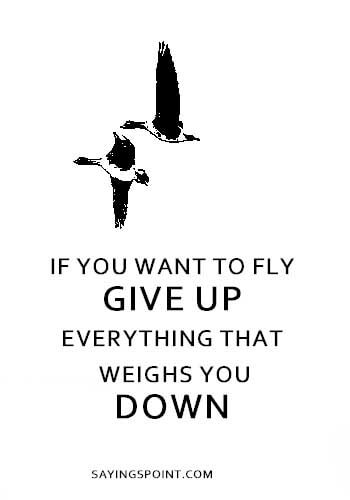 “If you want to fly. Give up everything that weighs you down.