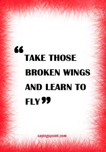“Take those broken wings and learn to fly.