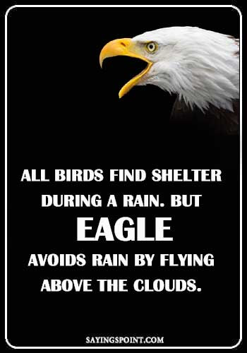 “All Birds find shelter during a rain. But Eagle avoids rain by flying above the Clouds.