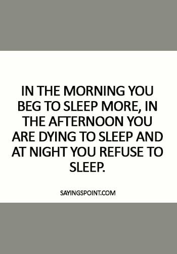 lazy afternoon quotes - In the morning you beg to sleep more, in the afternoon you are dying to sleep and at night you refuse to sleep.