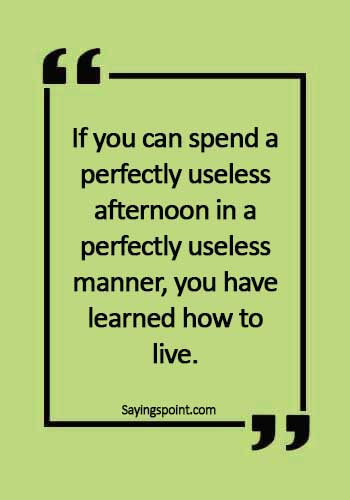 Afternoon Saying - If you can spend a perfectly useless afternoon in a perfectly useless manner, you have learned how to live.
