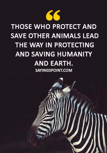 Save Wildlife Quotes - “Those who protect and save other animals lead the way in protecting and saving humanity and earth.” 
