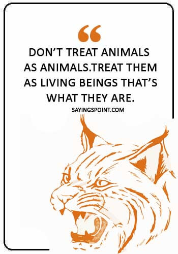 Save Wildlife Quotes - “Don’t treat animals as animals.Treat them as living beings that’s what they are.” 