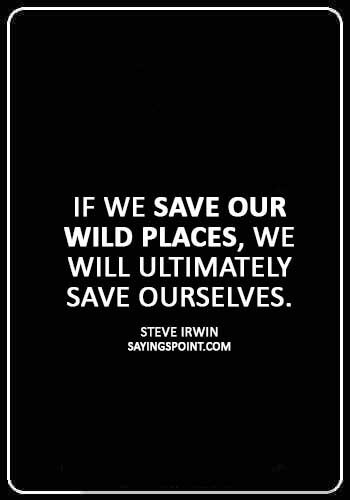 world wildlife fund quotes - “If we save our wild places, we will ultimately save ourselves.” —Steve Irwin
